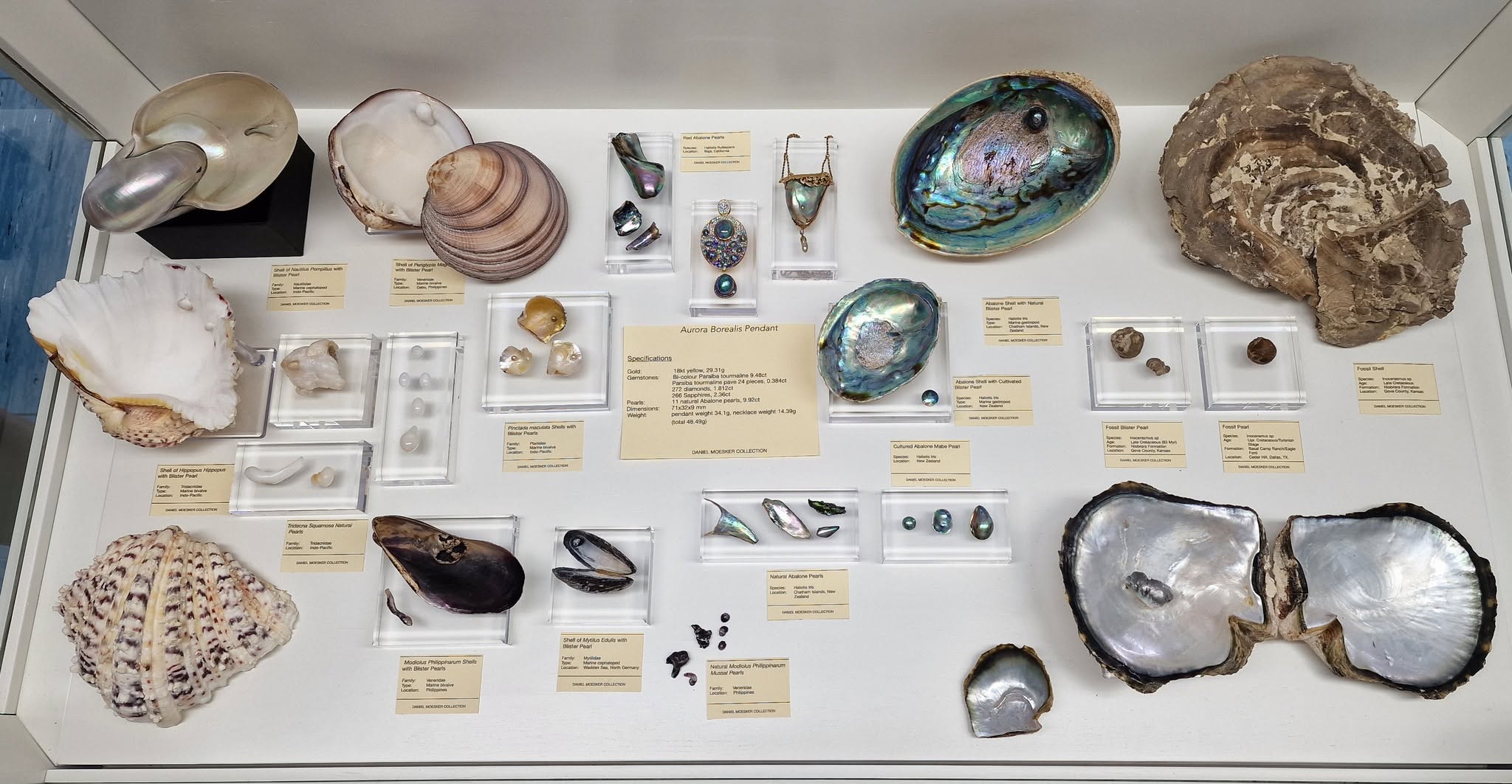 ALGT Attends Pearl Conference in Idar-Oberstein to Follow the Latest Advances in Pearl Identification